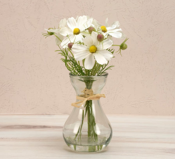 Special-Cosmos Vase
