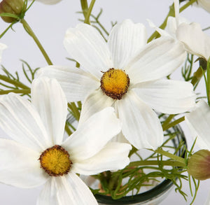 Special-Cosmos Vase