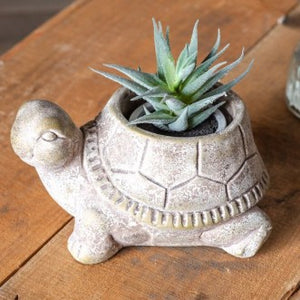 Turtle-shaped cement planter with a succulent on a wooden surface