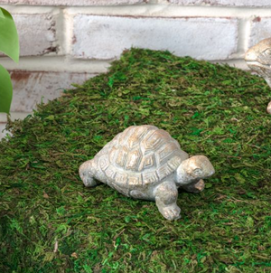 Decorative turtle figurine on a bed of green moss with a white brick wall background.