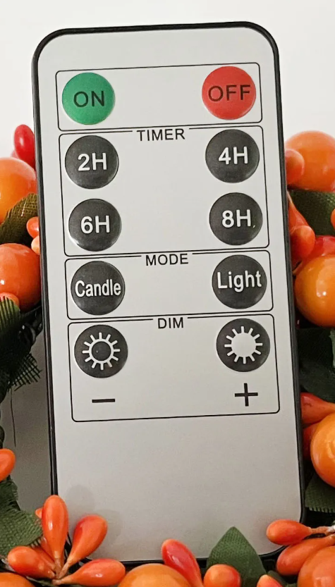 Flameless Candle Remote (2)