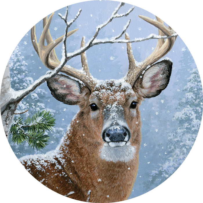 Stepping Stone - Winter Whitetail