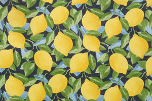 Wicker Cushions - Citrus Saphire